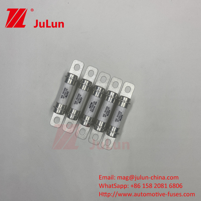 M6 Bolt  Home Ev Charger 30A 40A Bolt M6 Automotive High Quality 5A 500VDC Fuse