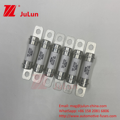 Electric Electric Vehicle 30A 15A Ceramic Tube High Break Safety Protection Fuse Electric Vehicle 500VDC