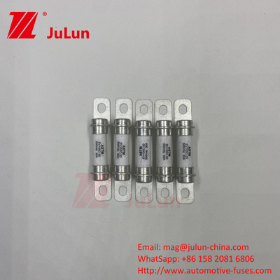 Electric Electric Vehicle 30A 15A Ceramic Tube High Break Safety Protection Fuse Electric Vehicle 500VDC
