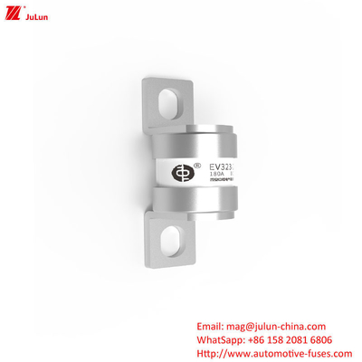 EV323-2GL 180A  DC250V EV Charger Adapter Compatible with Energy Fuse