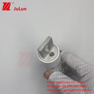 RS309-MM-EV250A 100KA Medium Voltage Electric Vehicle Fast Charging  / Ev Dc Fast Charger