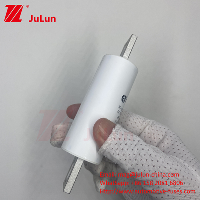 RS309-MM-EV250A 100KA Medium Voltage Electric Vehicle Fast Charging  / Ev Dc Fast Charger