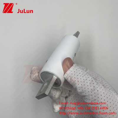 RS309-MM-EV300A Medium Fusing AC 1000VDC 1000VAC In High Voltage Electrical Systems For Electric Vehicles