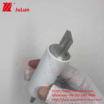 RS309-MM-EV500A1000VDC 50KA 1000VAC 100KA Fuse Bolt Screw Protection