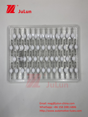 Ceramic Automotive ASTM A121601 Fuse Electric Vehicle  300A 125VDC Charging Energy Storage