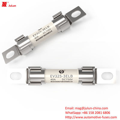 750V EV Fuse Charge Protected 3 Phase Size 3 Fuse Holder For Cars