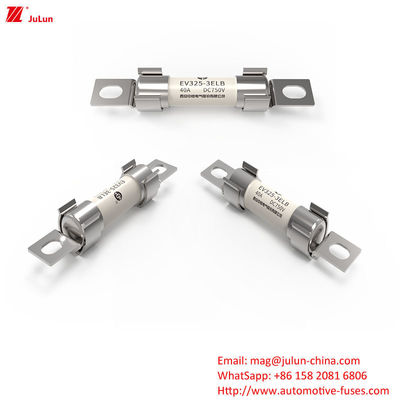 Bolt Screw Silver Coated Fuse Rated Voltage DC750V 40A  Medium Fusing Characteristics