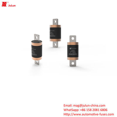 SINOFUSE Electric Vehicle Fuse Perfect Solution For Road Vehicle Protection 300A 500VDC