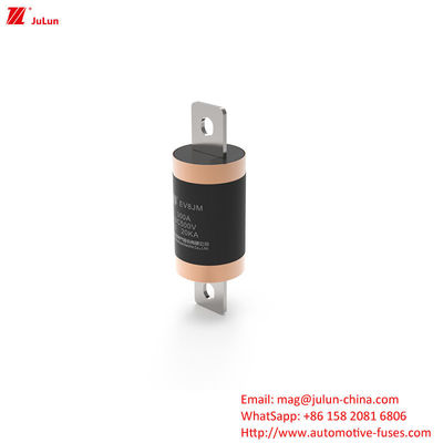 300A EV Charger Adapter Fuse Compatible With SINOFUSE Heavy Duty Bolt Screw