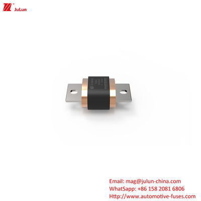 500A-1000A Medium Electric Vehicle Fuse for Road Vehicles with Terminal Type Fuses