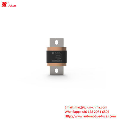500A-1000A Medium Electric Vehicle Fuse for Road Vehicles with Terminal Type Fuses