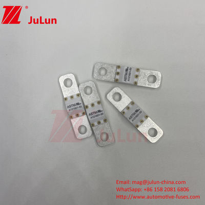 A121601-50A  ASTM 125VDC  Electric Vehicle Electrical Protection Terminal Type Fuse