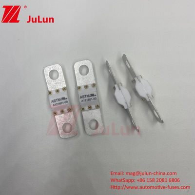 ASTM A121601-60A 125VDC Electric Car Charging Fuse Bolt Screw Fuse