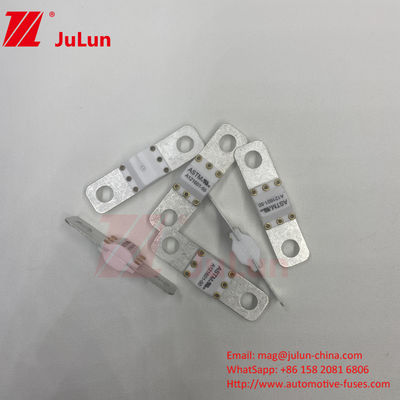 ASTM 300A 125VDC Bolt Screw Fuse A121601 For Electric Vehicle Protection