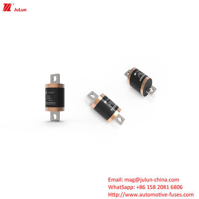EV8  DC500V  150A 600A 700A 750A 800A 900A 1000A Fuses For Road Vehicles