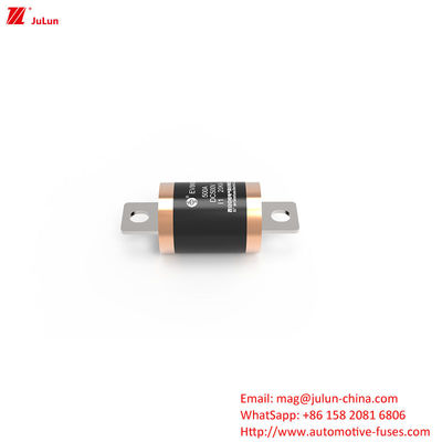 10KA 20KA  300A  Electric Vehicle Fuses For Short Circuit Protection With 500VDC Maximum Rated Voltage
