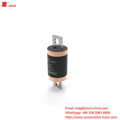 Bolt Screw Electric Vehicle Fast Charging  10KA 20KA Medium Fusing Rated 500VDC New Energy Vehicle Fuse