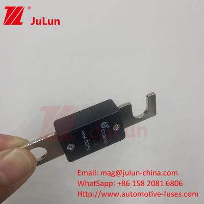 EV320-5X 80A 100A 125A 150A 175A 200A 70VDC  EV Fuse For Reliable Short Circuit Protection