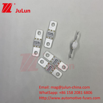 ASTM 50A 25VDC Electric Vehicle Fuses  Current Range