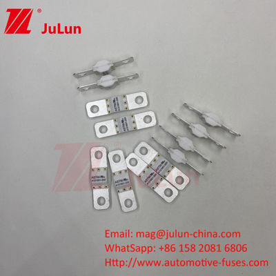 ASTM 50A 25VDC Electric Vehicle Fuses  Current Range