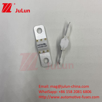 ASTM FUSE 121601 80A 125VDC Electric Car Fuse
