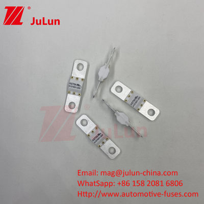 ASTM 100A Ev Charger Adapter Fuse Compatible Ccs Ev ChargerBolt Screw 125VDC 10KA 20KA