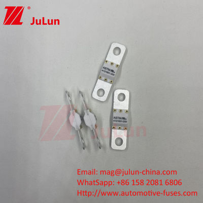 125VDC 300A ASTM Electric Vehicle Fast Charging  / Ev Dc Fast Charger Fuse With Bolt Screw Protection