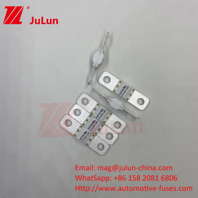 125VDC 300A ASTM Electric Vehicle Fast Charging  / Ev Dc Fast Charger Fuse With Bolt Screw Protection