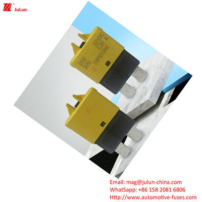 Automotive Circuit Protection Fuse Holder Plastic / Nylon EU UL Standard 30A-500A Marine Copper Contact Circuit Breaker