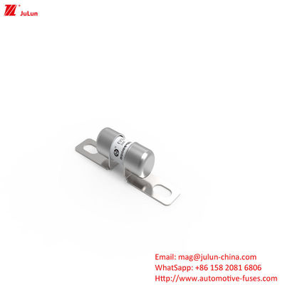 50A DC250V Portable Electric Vehicle Charger Fuse With Medium Fusing