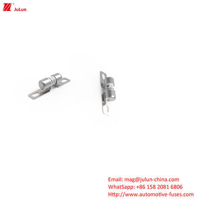 DC250V Electric Vehicle Fast Charging  / Ev Dc Fast Charger Fuse