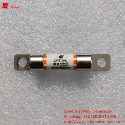 EV Charger Adapter Fuse Compatible With 10A-60A Charging Electric Vehicle Fast Charging