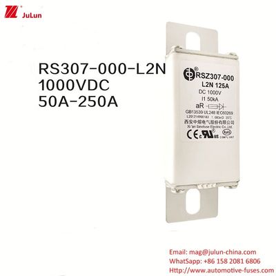 100A Bolt On Ev Dc Fast Charger / Electric Vehicle Fast Charging  RSZ307-000-L2N Fuse