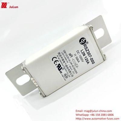 100A Bolt On Ev Dc Fast Charger / Electric Vehicle Fast Charging  RSZ307-000-L2N Fuse