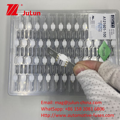 Bolt On Fuses for Electric Vehicles with 50A-300A Current Protection