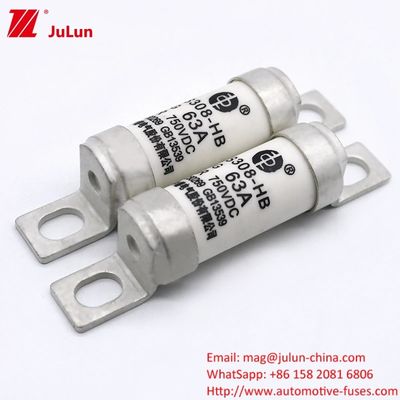 DC750V 32A 63A 100A  EV Fuses for Electric Power Systems