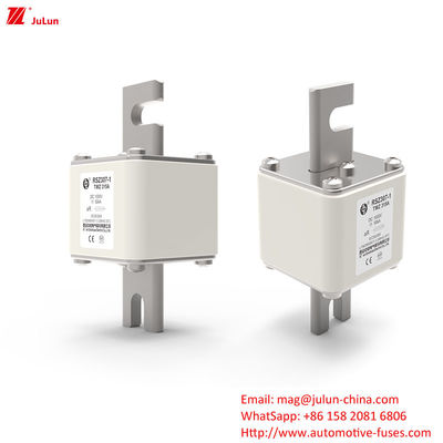 200A-450A Automotive Battery Charger Fuse For Enhanced Electric Power System Protection