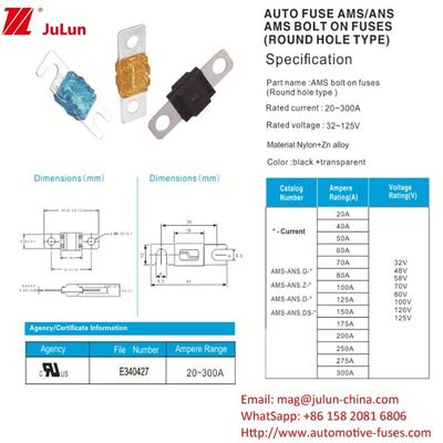 30-200A square car fuses for Electric Power System Protection Portable EV Charger  Car Audio Equipment