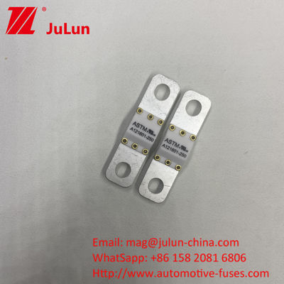 A121601-100A ASTM Electric Vehicles New Energy Equipment Battery Ene Fuse For Car