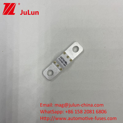 A121601-100A ASTM Electric Vehicles New Energy Equipment Battery Ene Fuse For Car