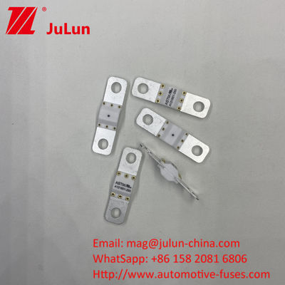 ASTM A121601-50A Automotive Navigation Terminal Fuse Electric Vehicles