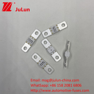 A121601-80A 3KA 6KA 8KA Electrical Power Fuses for Automobile Electric Vehicles