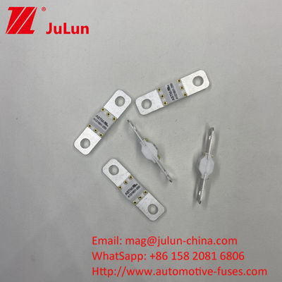 A121601-100A 3KA 6KA 8KA Breaking Electric Vehicle Charging Automotive Fuse