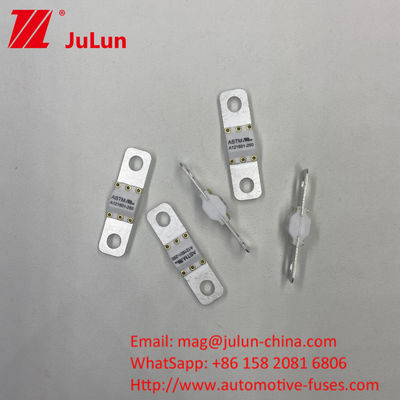 ASTM Electric Vehicle Fuse 50-350A 3KA/6KA/8KA Screw Mounting A121601-150A