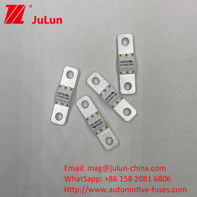 125 VDC Automotive Battery Charger Fuse A121601-300A Battery Energy Storage Motorcycle