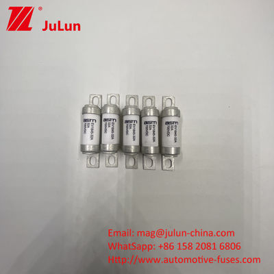 ASTM EV1845 40A Medium Bolt Fuse Electric Vehicle Charger with M8 Screw Mount