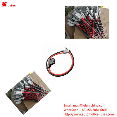 Eu UL Standard 30A-100A Automotive Fuses Are Used In The Field Of Marine New Energy Vehicles