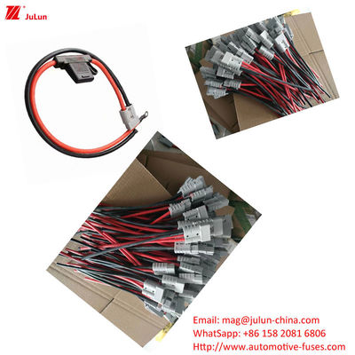 Automotive Fuse/Fuse Holder In Line With EU UL Standard, Rated Voltage 32V For New Energy Vehicle Circuit Protection