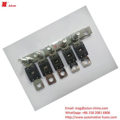 250A Automotive Fuse With Plastic Shell 35-60VDC EU UL Certified