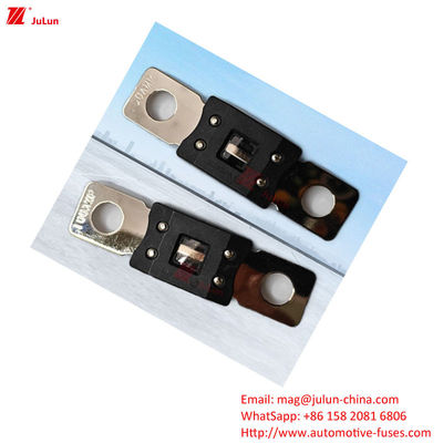 EU UL Ship / New Energy Vehicle / Truck/Circuit Breaker/Fuse Holder Rated Current 80A / 100A ROHS